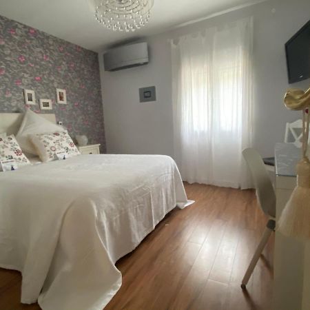 Apartamento La Biblioteca En Cuenca クエンカ エクステリア 写真