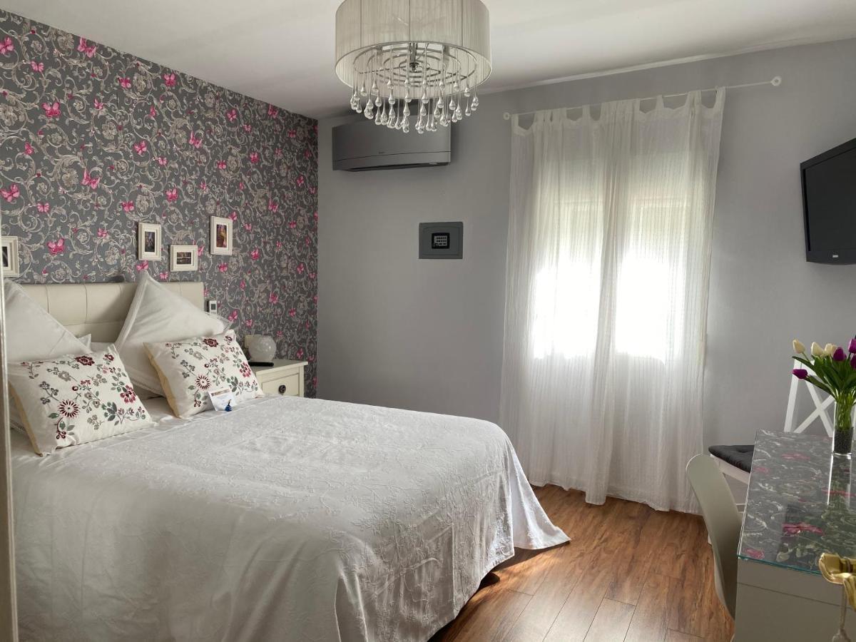 Apartamento La Biblioteca En Cuenca クエンカ エクステリア 写真