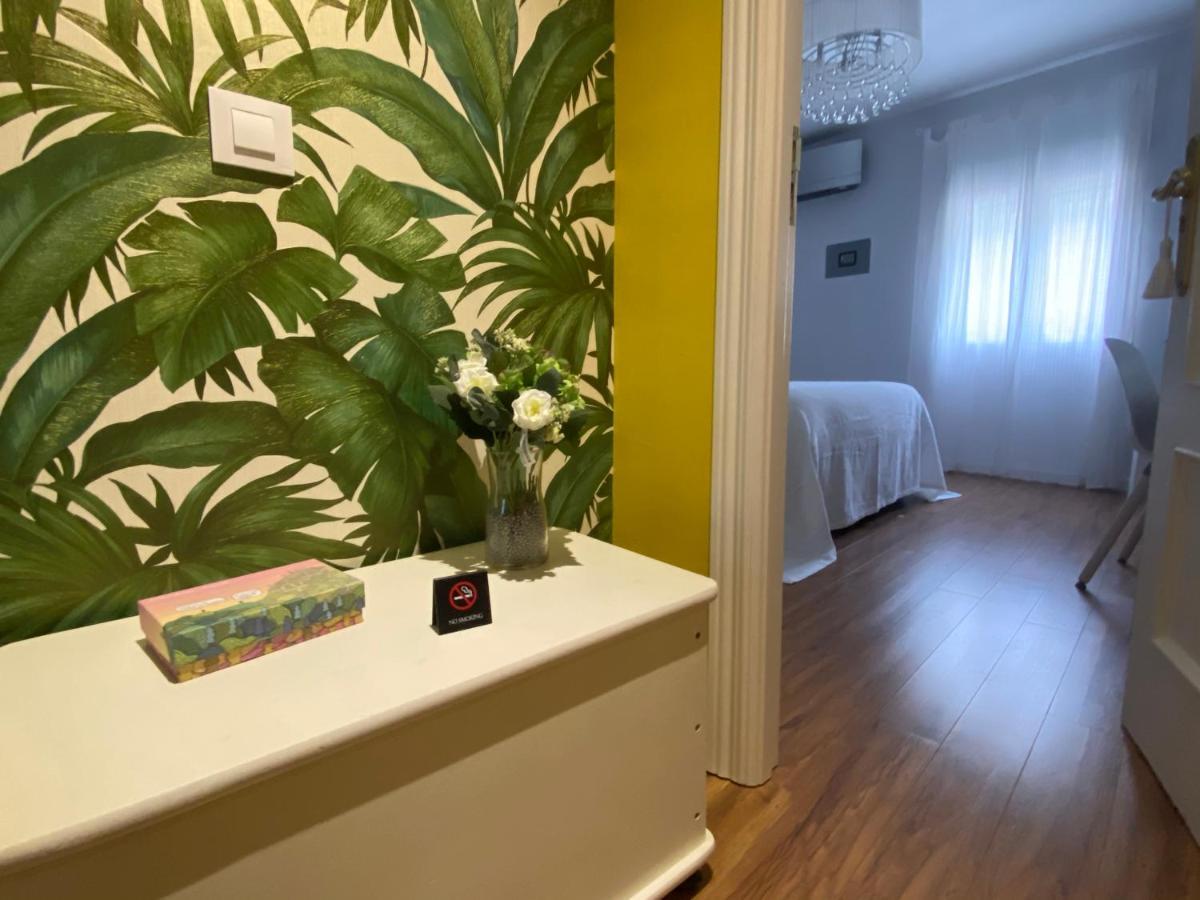 Apartamento La Biblioteca En Cuenca クエンカ エクステリア 写真
