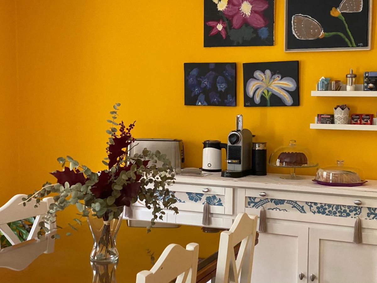 Apartamento La Biblioteca En Cuenca クエンカ エクステリア 写真