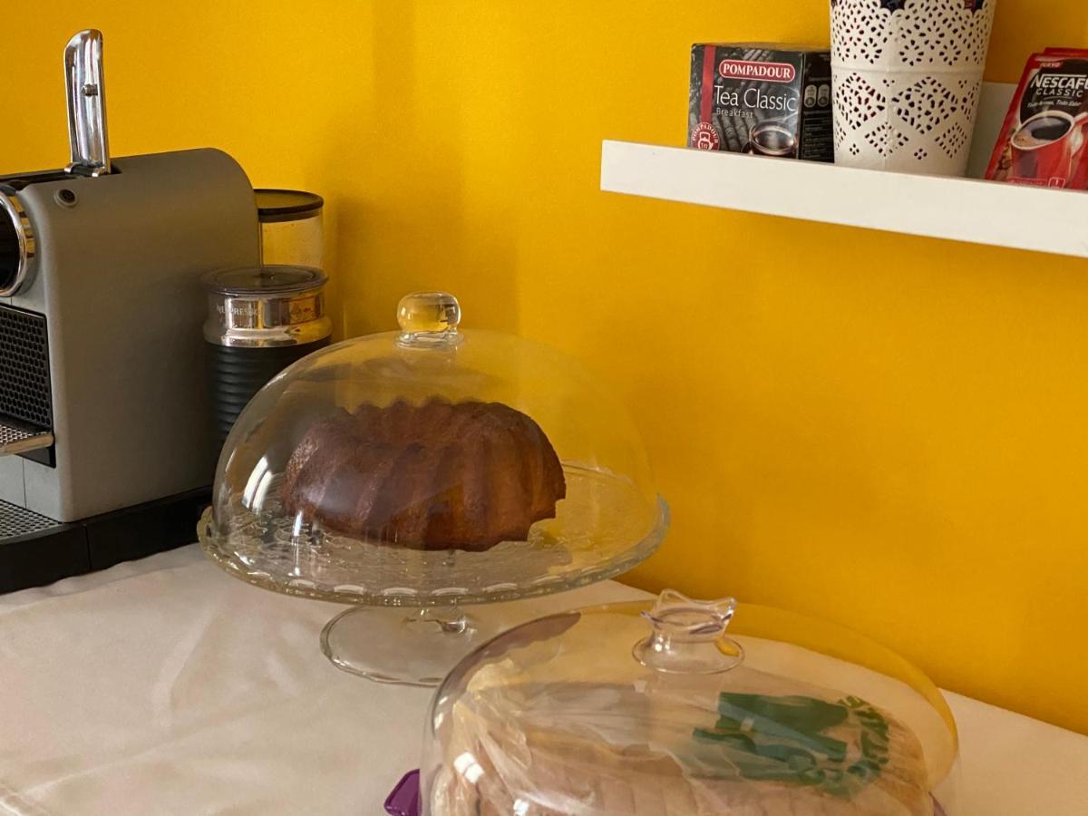 Apartamento La Biblioteca En Cuenca クエンカ エクステリア 写真