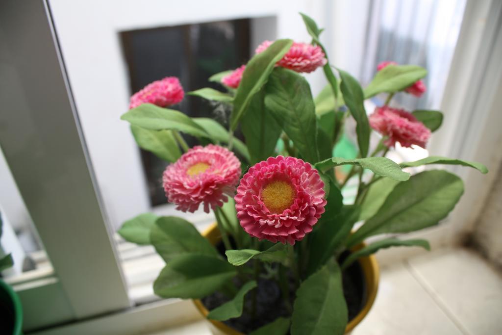 Apartamento La Biblioteca En Cuenca クエンカ 部屋 写真