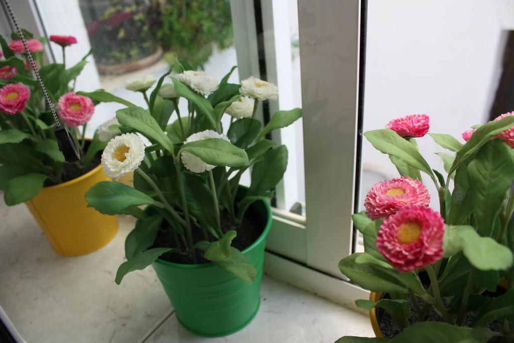 Apartamento La Biblioteca En Cuenca クエンカ 部屋 写真